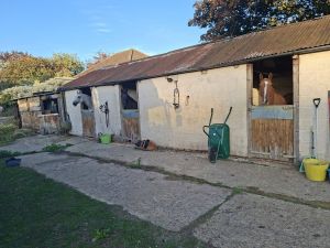 Overnight Stables
